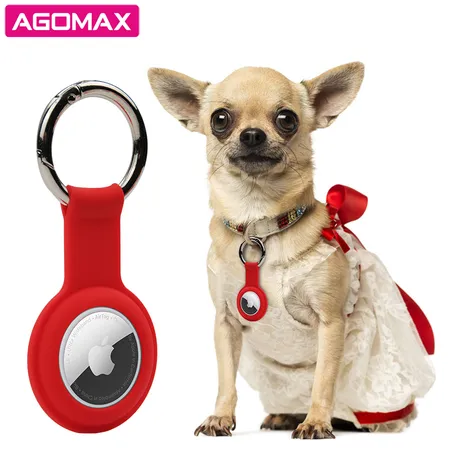 Dog collar outlet with matching keychain