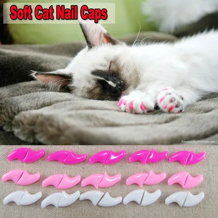 Soft Nail Caps for Cats