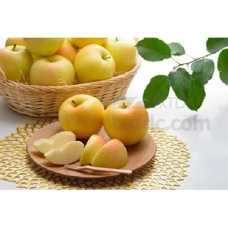Apple - りんご 3348JGRNL]Marble Apple マーブルアップル (Lサイズ)ペーパー