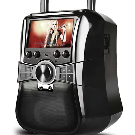  Singing Machine Karaoke Machine for Kids and Adults