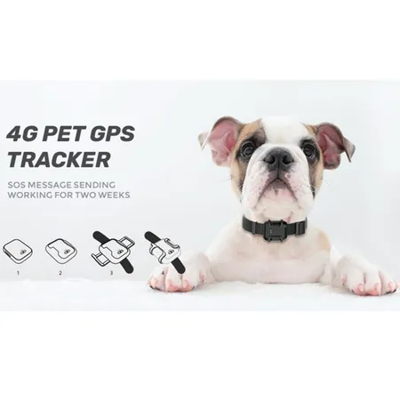 Until Stop by to know move on 4G Pet GPS Tracker ANTI-LOST Real-Time Tracking Collar Device, APP Control For Dogs And Pets Activity Monitor | Pets & Pet Supplies | Homeware & Lifestyle Essentials Until Stop by to know move on 4G Pet GPS Tracker ANTI-LOST Real-Time Tracking Collar Device, APP Control For Dogs And Pets Activity Monitor | Pets & Pet Supplies | Homeware & Lifestyle Essentials