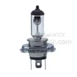 Halogen Light