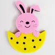 Felt Rabbit