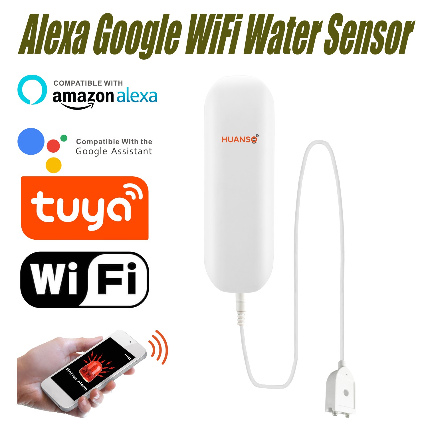 water leak sensor google home