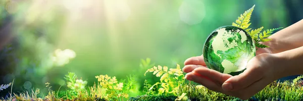 Energy Management Contract Service