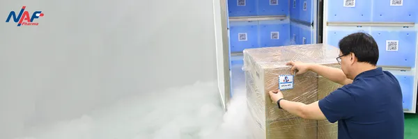 Pharmaceutical Supply Chain