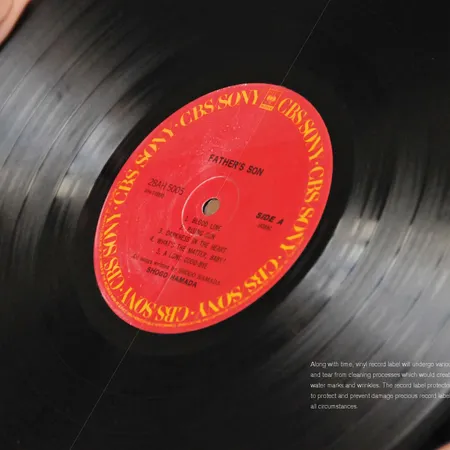 Vinyl Record Label Protector (N-168) | Home Audio, Video ...