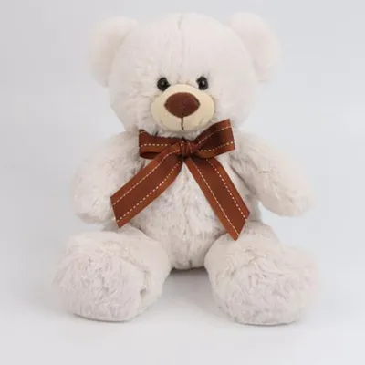 Teddy♡Bear〜TK準備中　0205 VTECH INTERACTIVE EXPLORE & LEARN TO CRAWL ALONG TEDDY BEAR