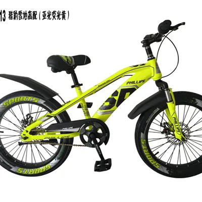  TZ-BP313  New 20" fat tire bicycle  for teenagers disc brake  