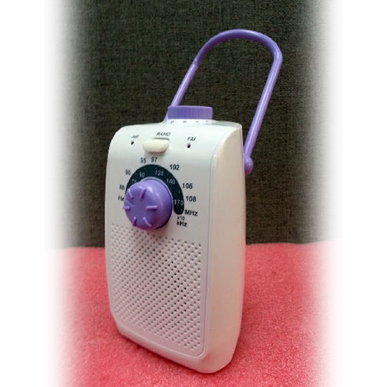 AM/FM Shower Radio Consumer Electronics Electronics