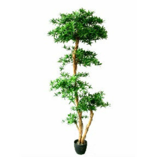 Artificial Podocarpus Tree | Home Products, Lights & Constructions