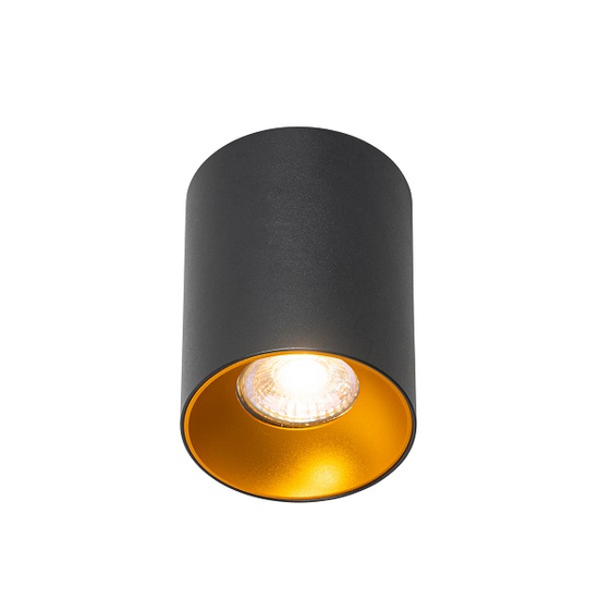 Black-Shell Golden-Inner-Ring Ceiling-mounted Spotlight | Indoor ...