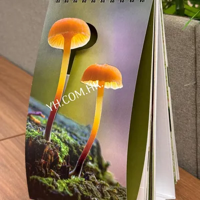 Calendar Printing 