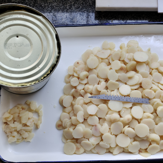 Canned Sliced Water Chestnut Fruits & Vegetables Food