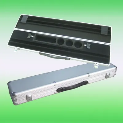 Carom Billiards Case