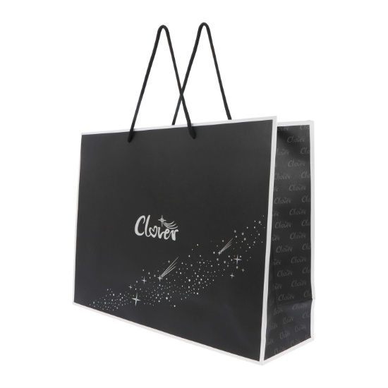 FSC Matt Laminated Paper Shopping Bag Paper Packaging Printing