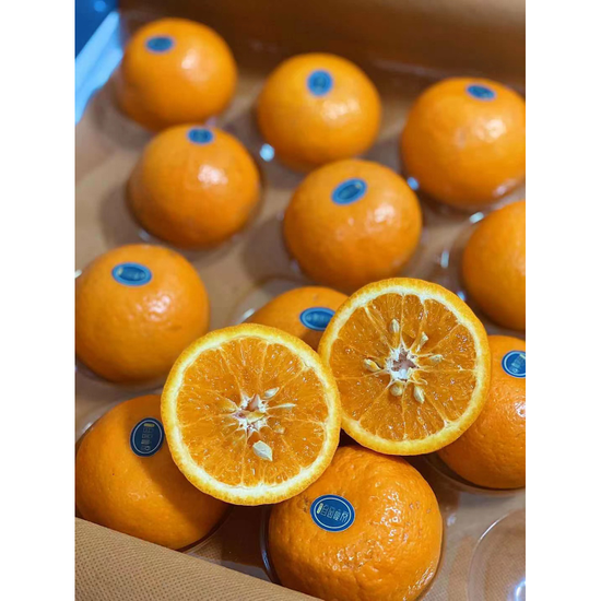 Fertile Orange Fruits & Vegetables Food