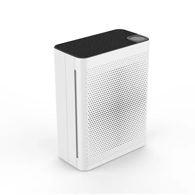 H13 hepa pm2.5 anion air purifier