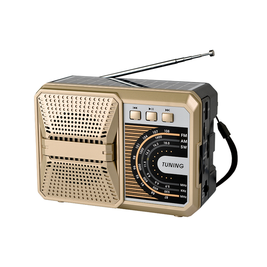 HS2620 Bluetooth Radio Wireless Support Am/Fm/Sw 3 Band with USB/TF