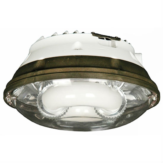 Induction Lighting FixtureCeiling Lamp Lights Home Products