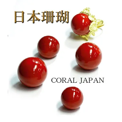 珊瑚専門店☆　珊瑚のキヨオカ　珊瑚　☆新品未使用ブローチ ブローチ/コサージュ 【即納&大特価】