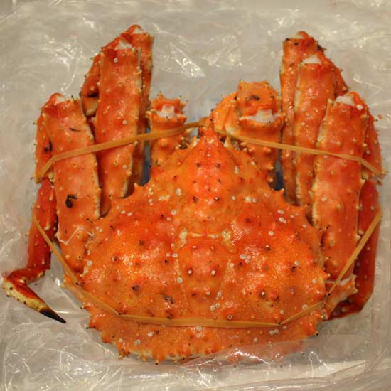 King Crab | Food & Beverage