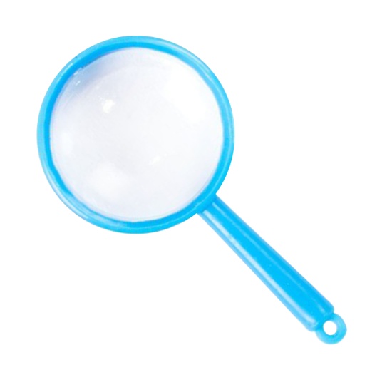 Mini Magnifying Glasses