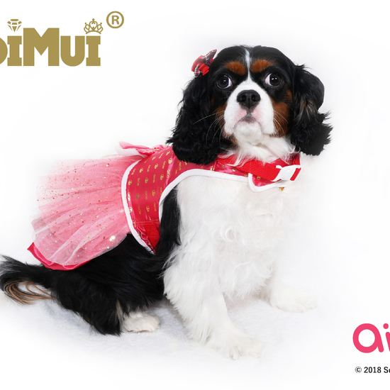 Modern Latest Custommade Licensed Product Functional Pet Clothing aibo