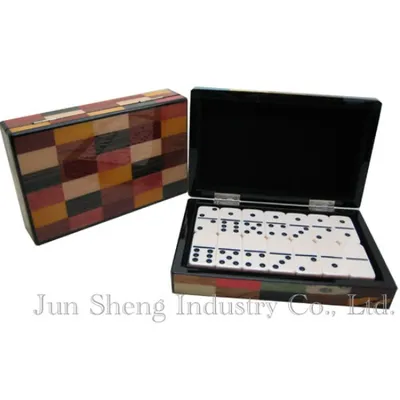 Multi Color Dominoes Set