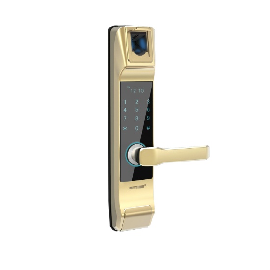 Multi Functional Finger Vein Smart Electric Door Lock Building