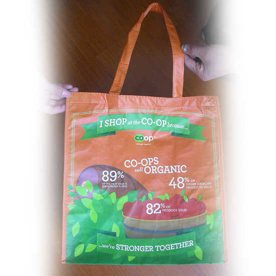 pet-shopping-bag-bags-handbags-accessories-fashion-clothing