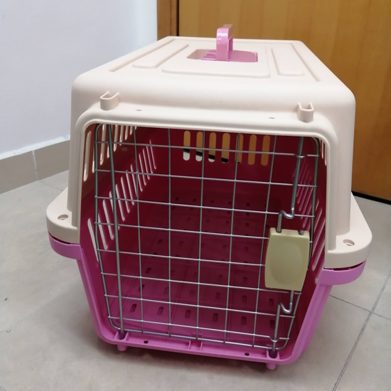 Pet hotsell cargo carrier