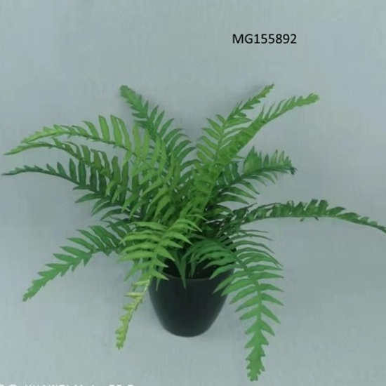 PLASTIC PLANT Home Décor Homeware & Lifestyle Essentials