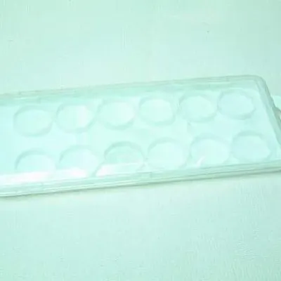 Plastic Paint Tray