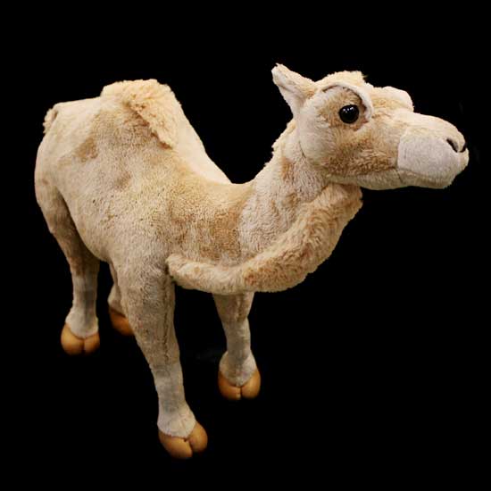 plush camel