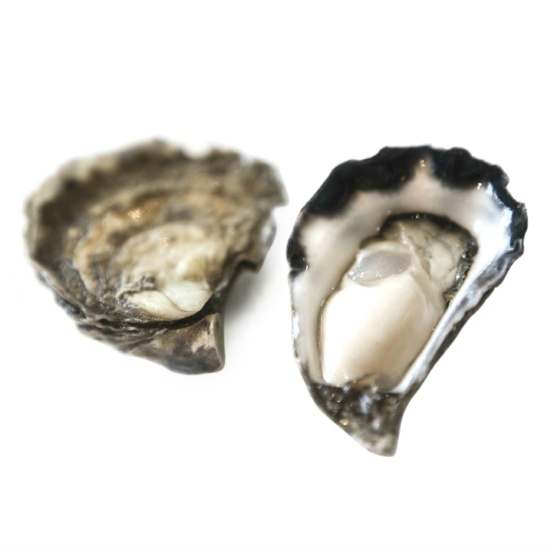 Premium Sydney Rock Oyster Food & Beverage