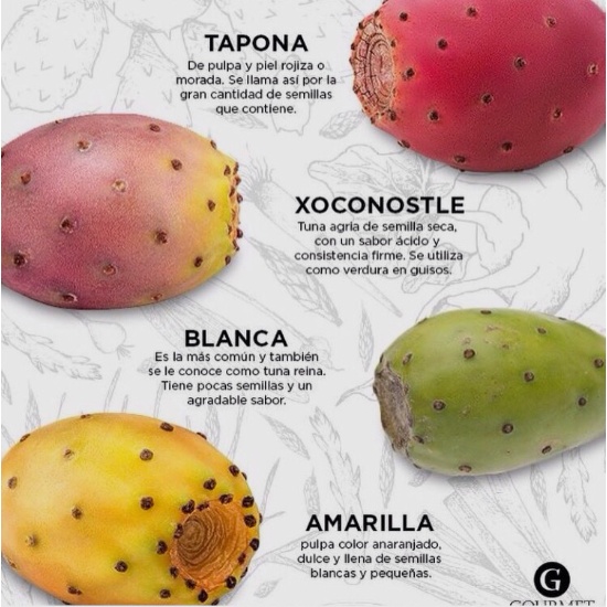 Prickly Pear Cactus Pear Fruit | Food & Beverage | HKTDC ...