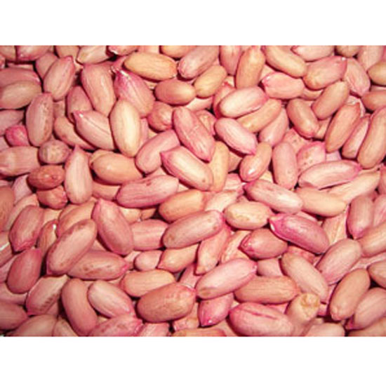 Raw Peanut Kernel Food & Beverage