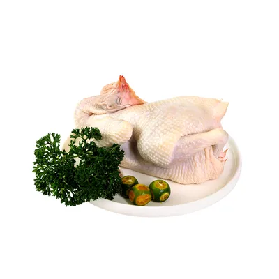 frozen chicken meat