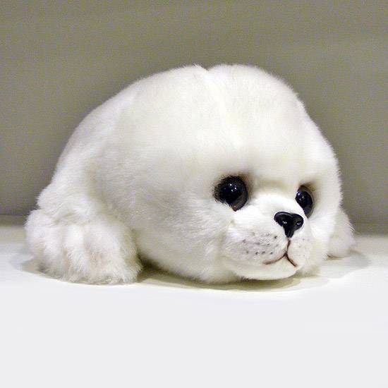 stuffed animal seal pup