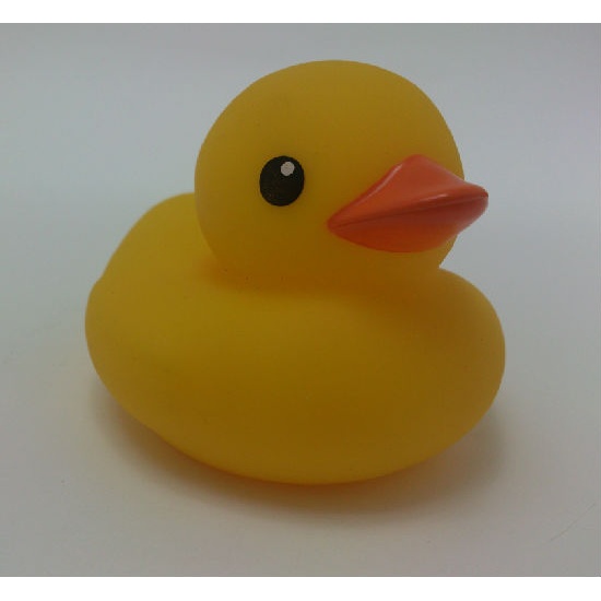 Small Funny Duck | Gifts, Toys & Sports Supplies