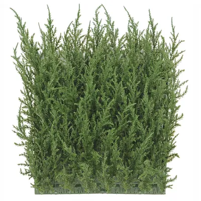 UV Protection Garden Wall Cpress Matt