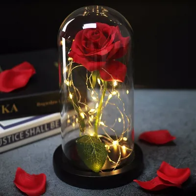 2021 Best Valentines Day Gift Red Rose In A Glass Dome With Led Light Wooden Base 