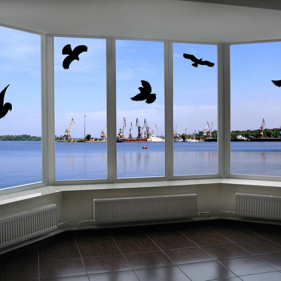 Window Glass Protection Against Bird Strikes Pigeon Bird Silhouette