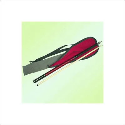 billiard pool cue in bag as premium