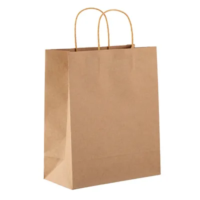 brown kraft paper bags with paper twisted handles