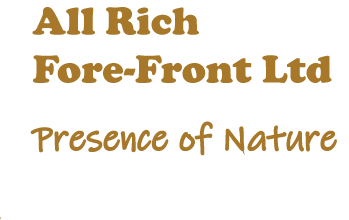 All Rich Fore-Front Ltd