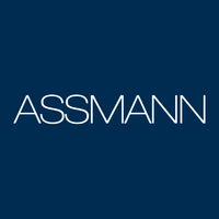 Assmann Electronics Ltd