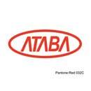 雅全(香港)有限公司