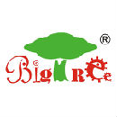 BIG TREE TOYS (HK) LIMITED